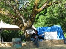 That hay looks familiar...